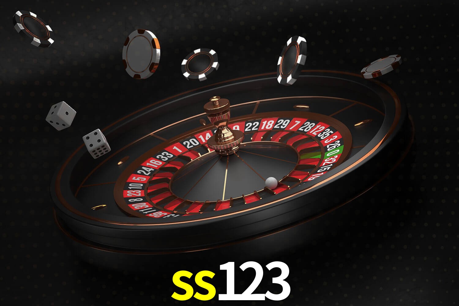 ss123